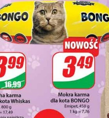 Karma dla kota bongo Emipet promocja