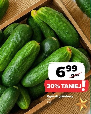 Ogórek gruntowy luz promocja w Netto