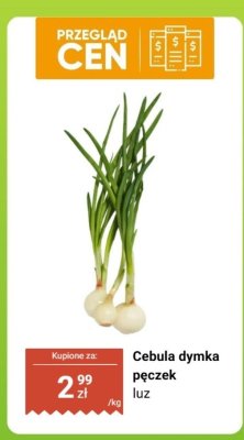 Cebula dymka pęczek luz promocja w Biedronka