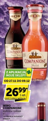 Wino Companione wybrane rodzaje promocja w Euro Sklep