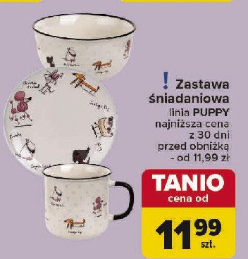 Talerz puppy promocja