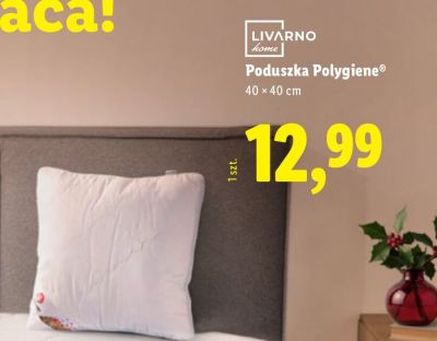 Poduszka 40x40 cm LIVARNO home promocja