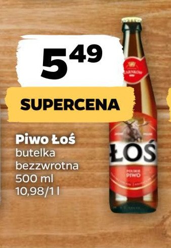 Piwo Łoś promocja