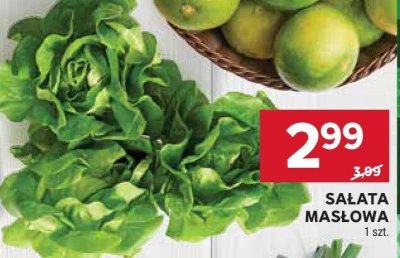 Sałata maślowa promocja w Stokrotka