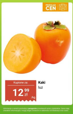 Kaki luz promocja w Dino