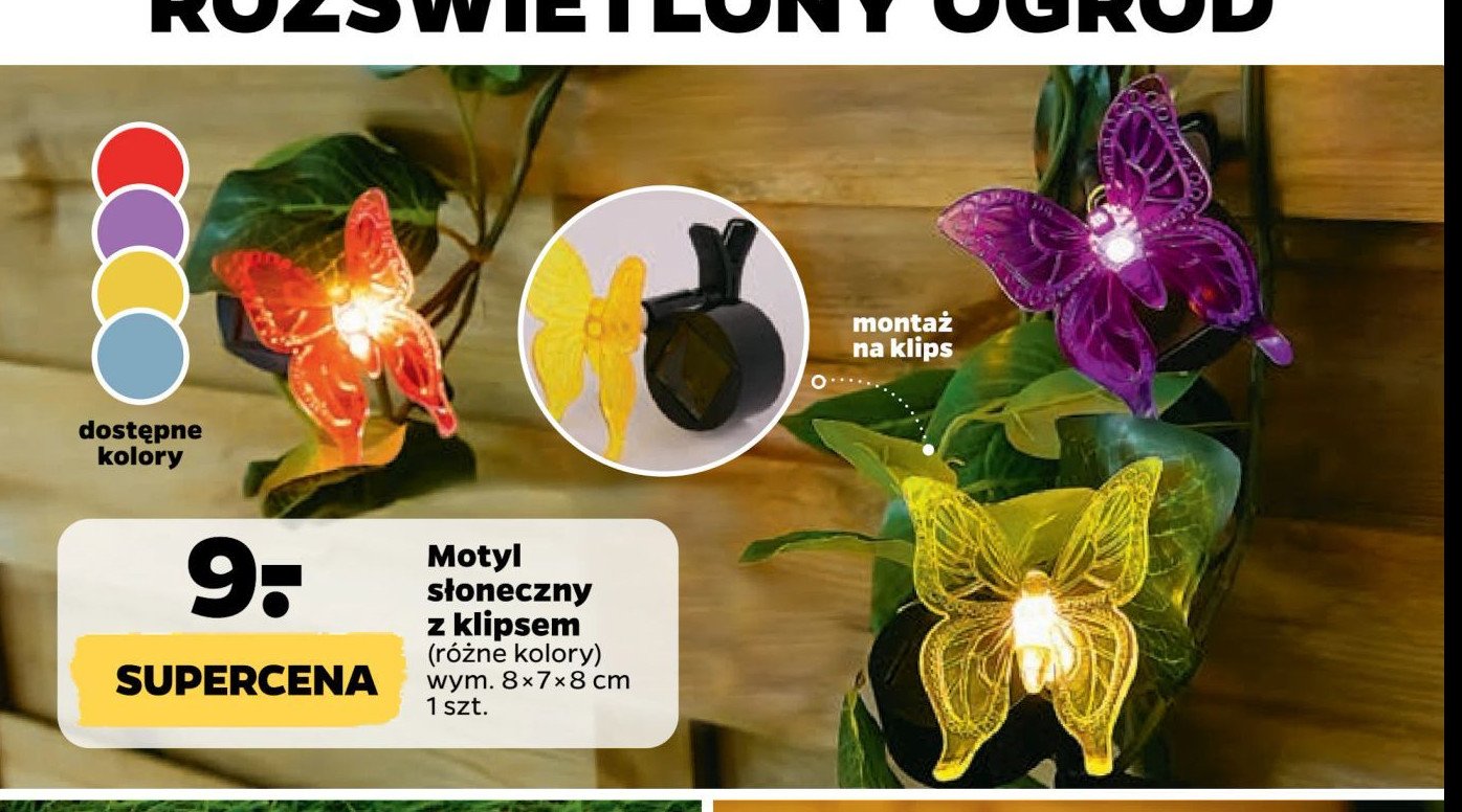 Motyl solarny z klipsem promocja