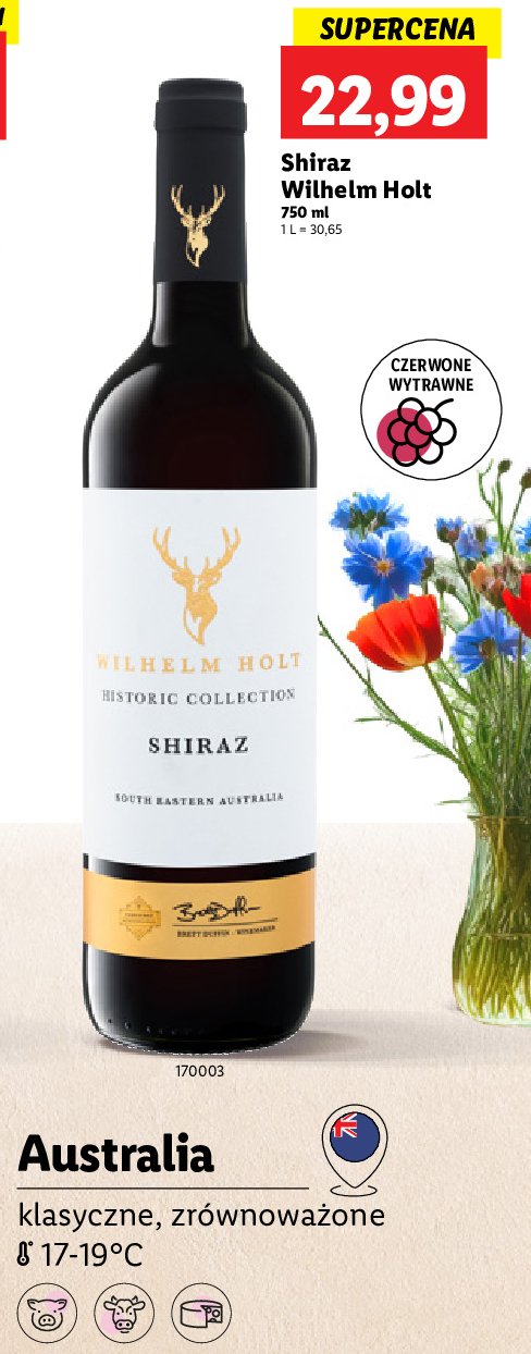 Wino wytrawne shiraz Wilhelm holt promocja w Lidl