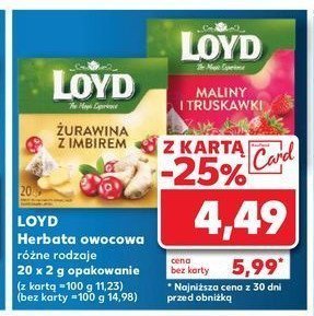 Herbata żurawina z imbirem Loyd tea the magic experience promocja