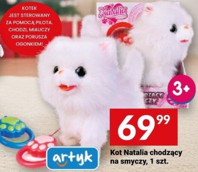 Kot Natalia chodzący na smyczy Artyk promocja w Twój Market