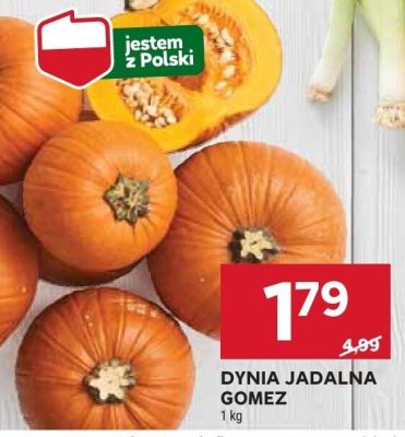 Dynia promocja w Stokrotka
