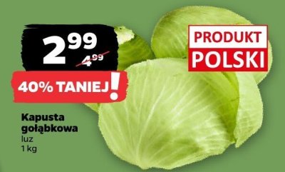 Kapusta promocja w Netto