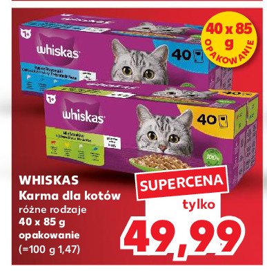 Karma dla kota rybne przysmaki Whiskas promocja