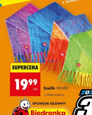 Szalik WOŚP z wełną, różne kolory promocja w Biedronka