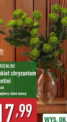 Bukiet chryzantem promocja w Aldi