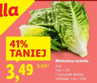 Minisałata rzymska promocja w Lidl
