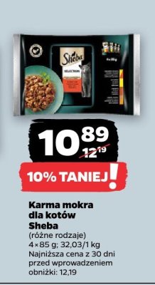 Karma mokra dla kotów  promocja w Netto