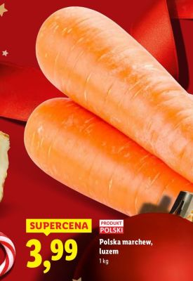 Polska marchew, luzem 1 kg promocja w Lidl