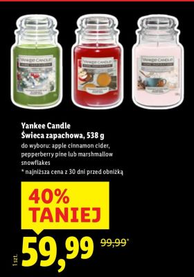 Świeca zapachowa pepperberry pine promocja w Lidl