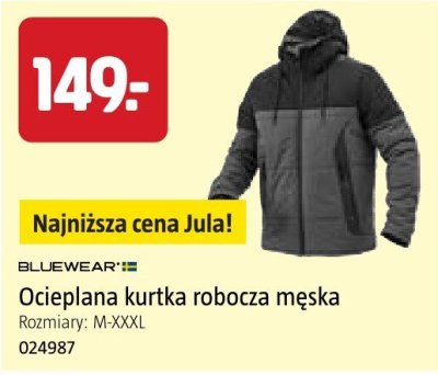 Ocieplana kurtka robocza męska BLUEWEAR Rozmiary: M-XXXL promocja w Jula