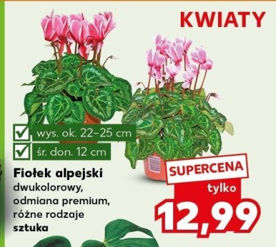 Oferta Kaufland - SUPER SOBOTA, strona 8 promocja w Kaufland
