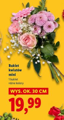 Bukiet kwiatów mini 30 cm promocja w Lidl