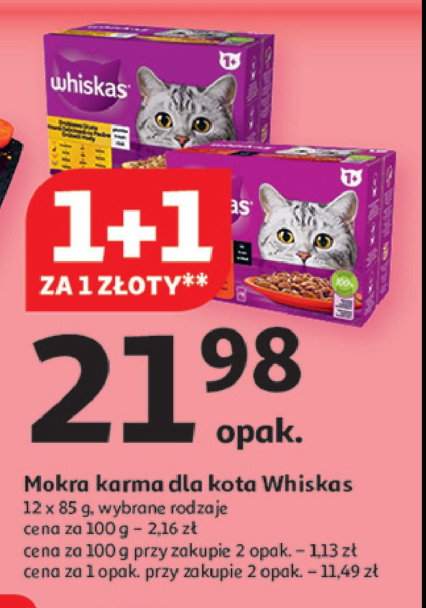 Karma dla kota wyb贸r da艅 mi臋snych Whiskas promocja