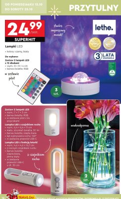 Lampki LED Lethe promocja w Biedronka