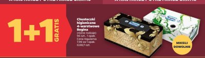 Chusteczki higieniczne 4-warstwowe Regina 96 szt., 1 opak. promocja w Netto