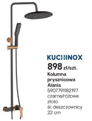 Kolumna prysznicowa Alanis promocja w Castorama
