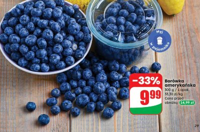 Borówka amerykańska 300 g promocja w Dino