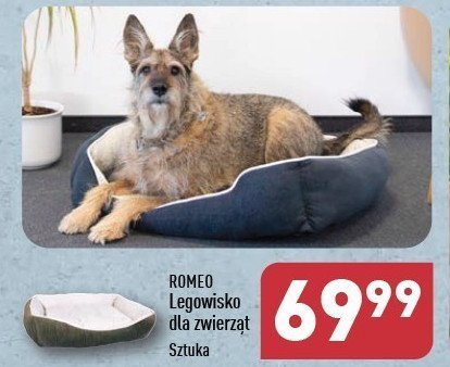 Legowisko dla psa Romeo promocja