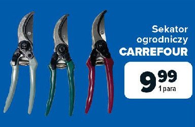 Sekator Carrefour home promocja