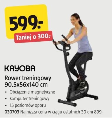 Rower treningowy Kayoba 90.5x56x140 cm promocja w Jula