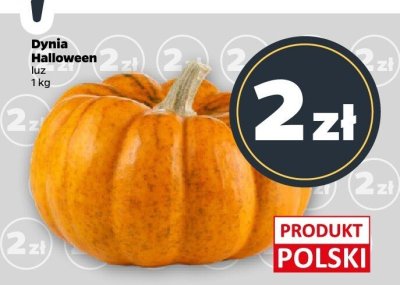 Dynia promocja w Netto