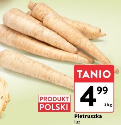 Pietruszka doniczka promocja w Intermarche