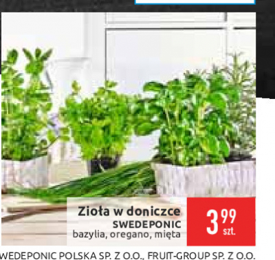 Mi臋ta Swedeponic promocja