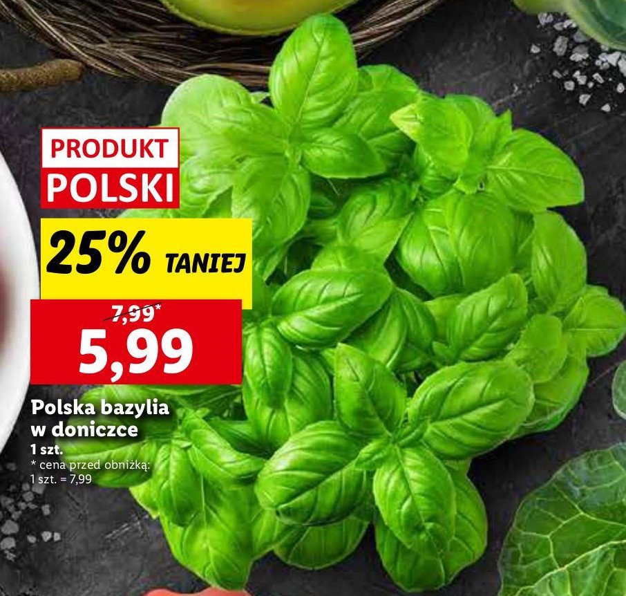 Bazylia promocja