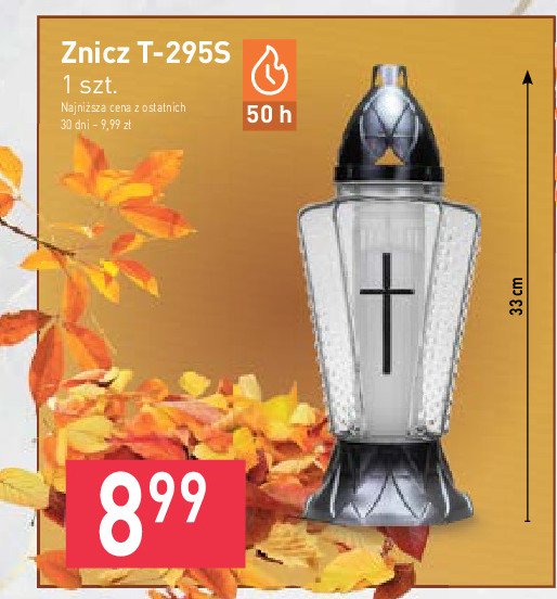 Znicz t-295s 50h promocja
