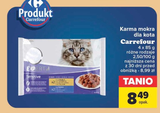 Karma dla kota sensitive Carrefour expert promocja