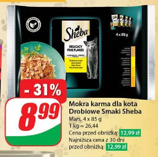 Karma dla kota delicacy Sheba promocja