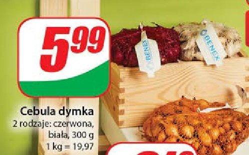 Cebula czerwona promocja w Dino