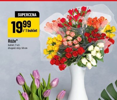 Róże promocja w POLOmarket