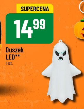 Duszek led promocja