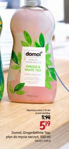 Płyn do mycia naczyń ginger & white tea Domol promocja
