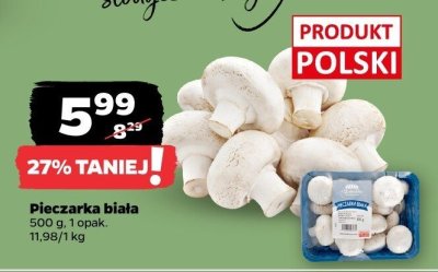 Pieczarka biała 500 g, 1 opak. promocja w Netto