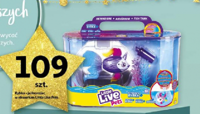 Rybka-jednoro偶ec w akwarium Little live pets promocja