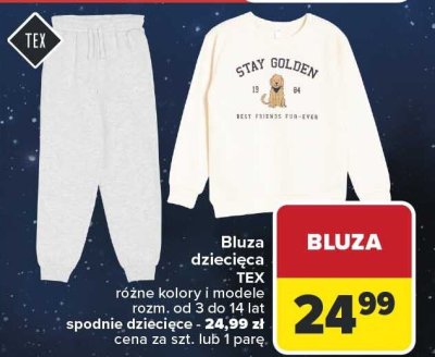 Bluza dziecięca, różne kolory i modele promocja w Carrefour