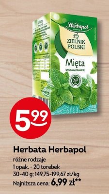 Herbata Herbapol Zielnik Polski Mięta promocja w Żabka