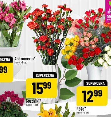 Goździki bukiet promocja w POLOmarket