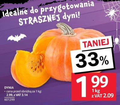 Dynia promocja w Selgros